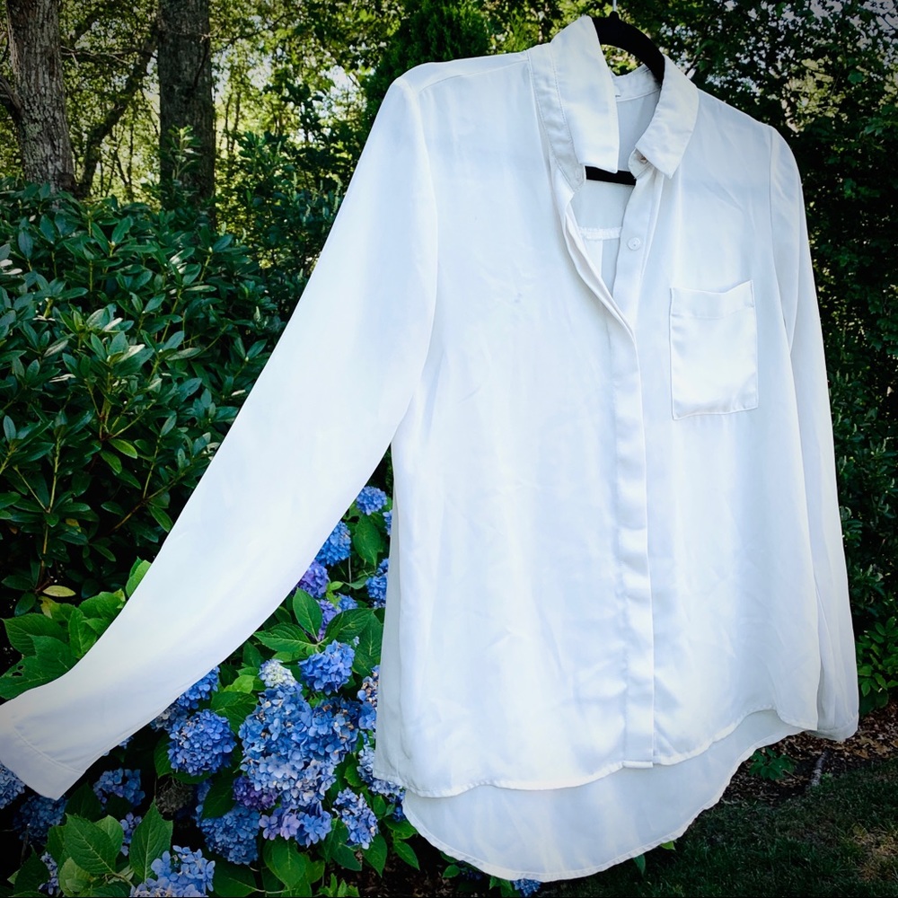 Button Up Sheer Blouse